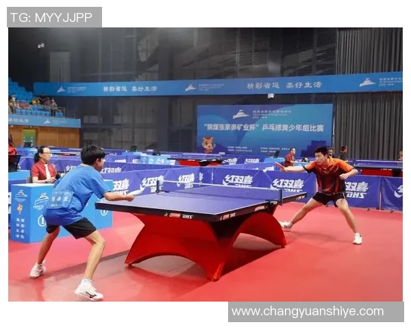 西安乒乓球队实力揭秘：乒乓球巨献背后的故事与成就